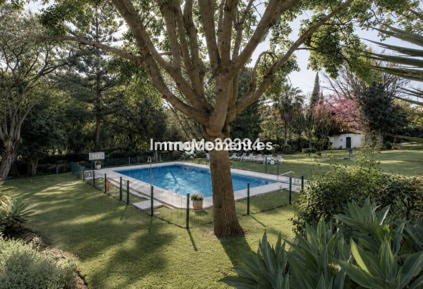 Neubau - Wohnung - Marbella - Puerto Banús