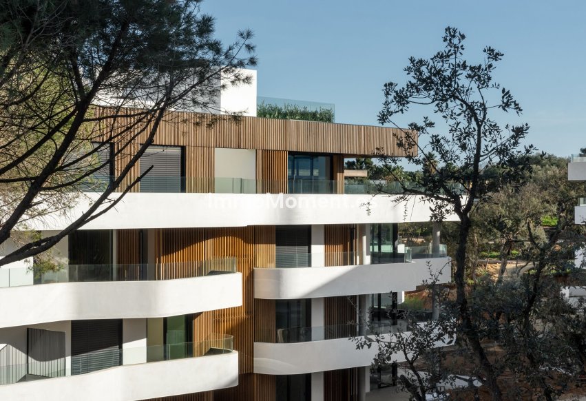 Neubau - Wohnung - Pueblo Nuevo