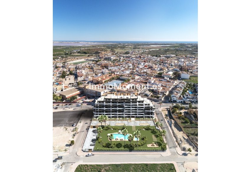 Neubau - Wohnung - San Miguel de Salinas