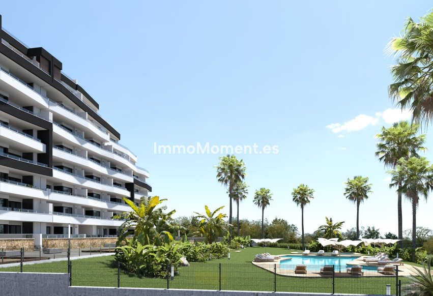 Neubau - Wohnung - San Miguel de Salinas