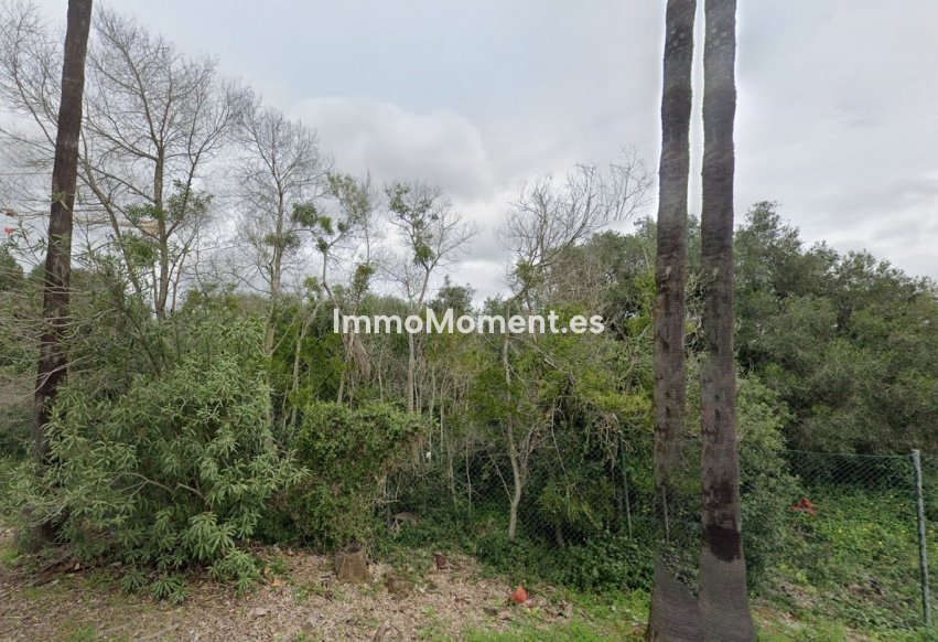 New Build - Land - Sotogrande - Sotogrande Alto