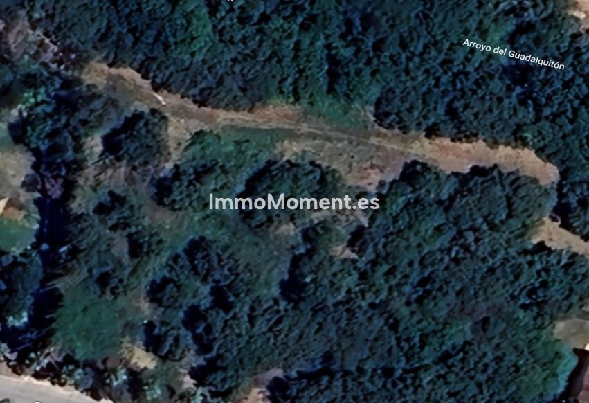 New Build - Land - Sotogrande - Sotogrande Alto