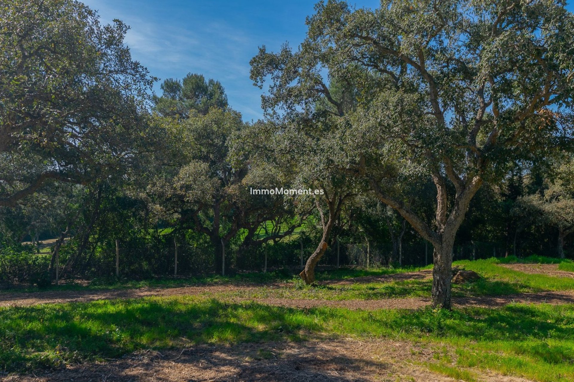 New Build - Plot - Sotogrande - Sotogrande Alto