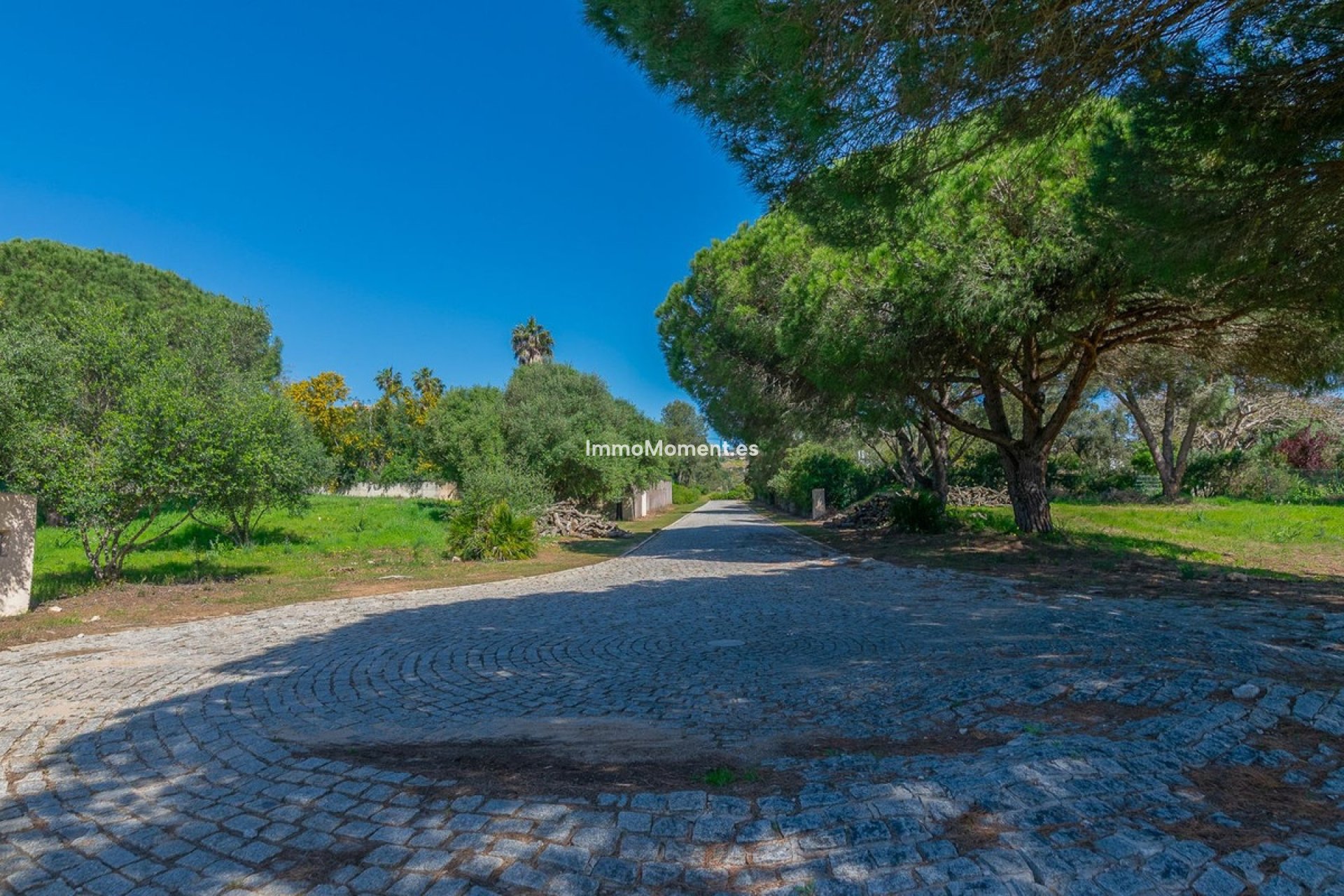 New Build - Plot - Sotogrande - Sotogrande Alto