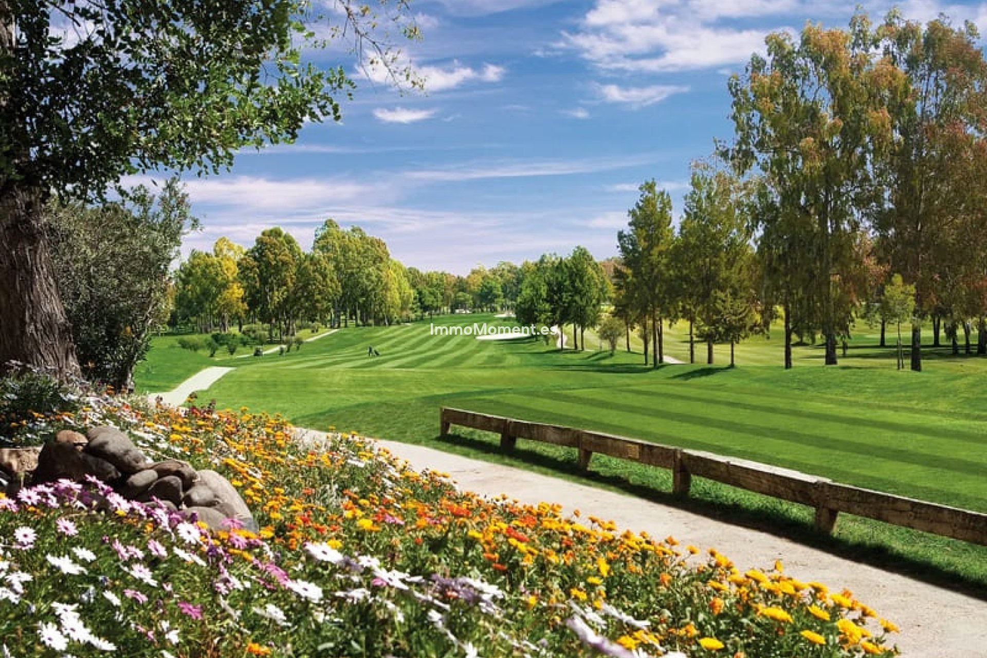 New Build - Villa - Estepona