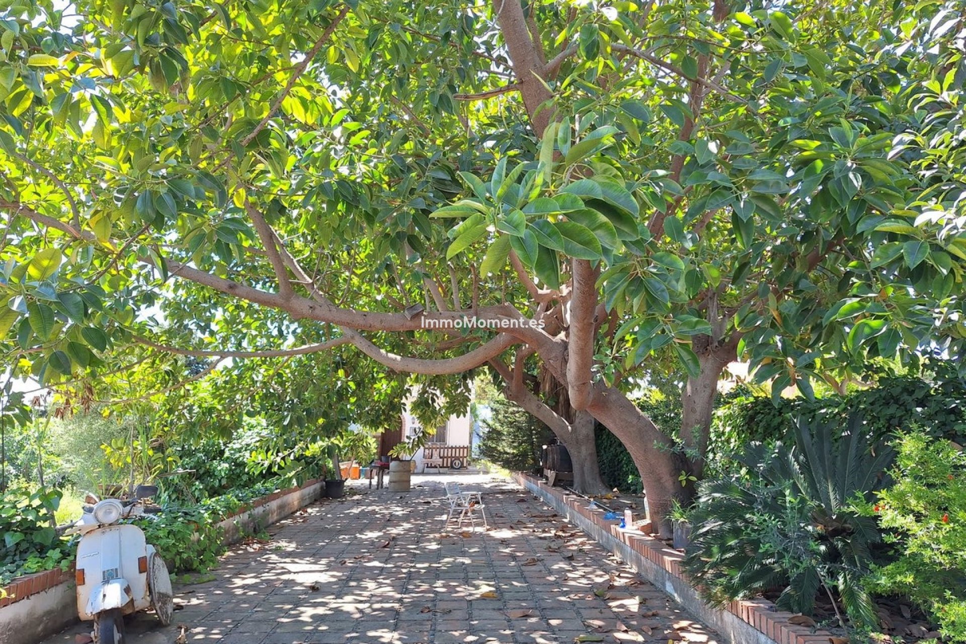 Nieuwbouw - Landhuis - Estepona  - Estepona Centro