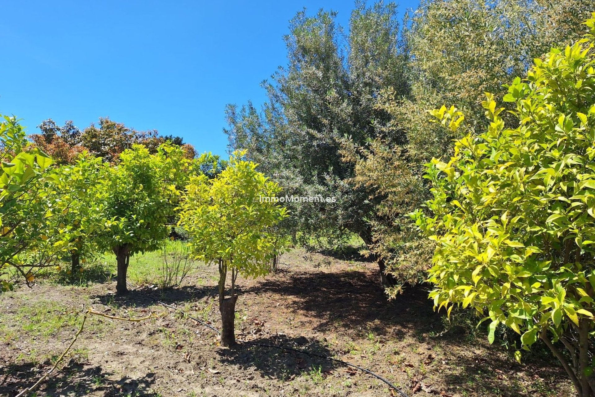 Nieuwbouw - Landhuis - Estepona  - Estepona Centro