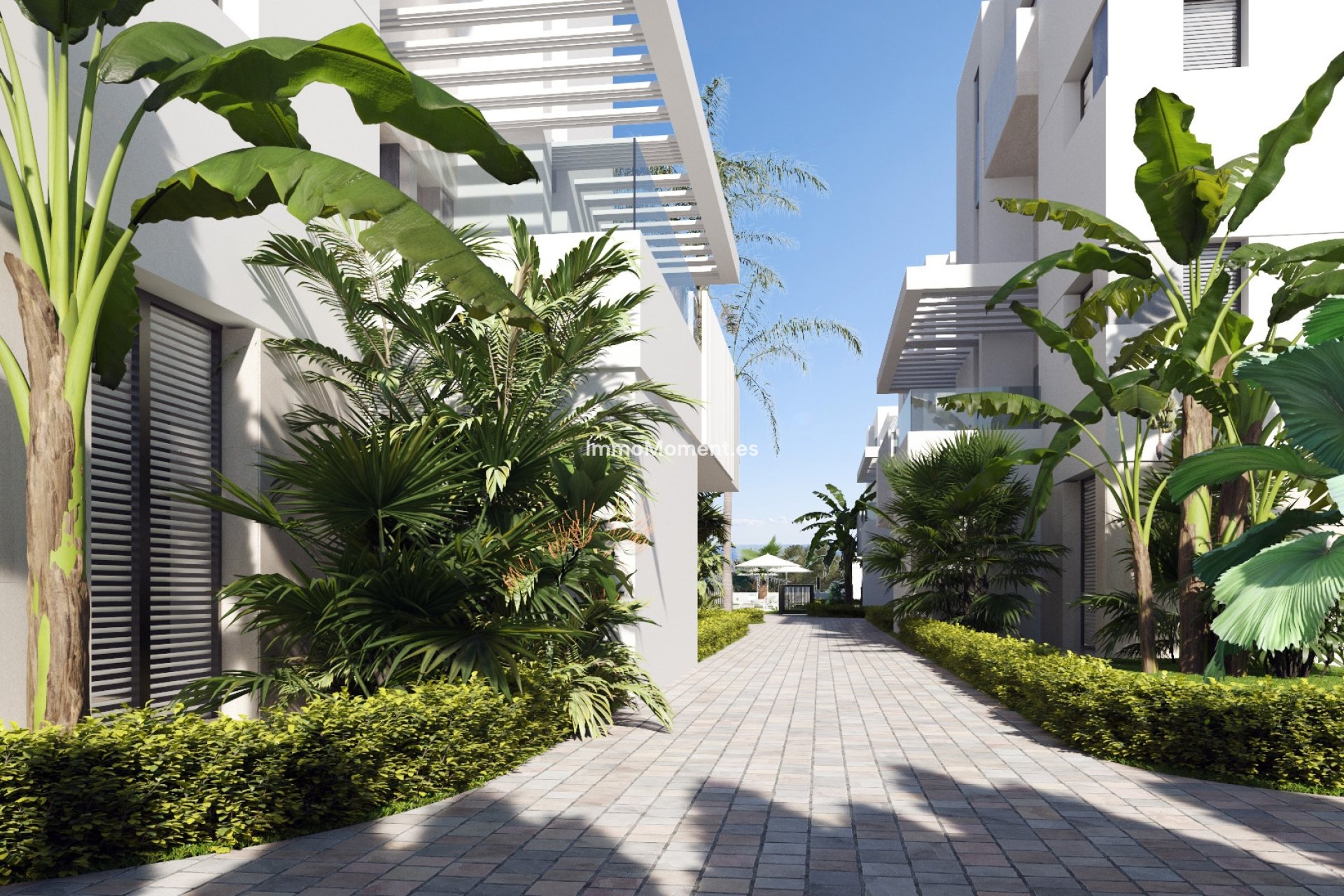 Nieuwbouw - Penthouse - Santa Rosalía