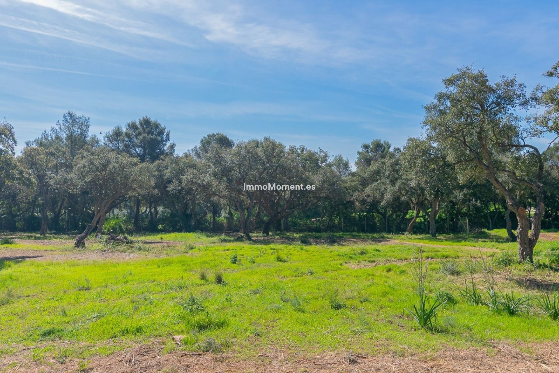 Nieuwbouw - Perceel - Sotogrande - Sotogrande Alto