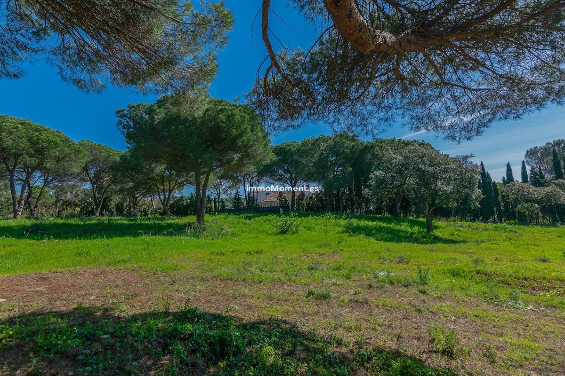 Nieuwbouw - Perceel - Sotogrande - Sotogrande Alto