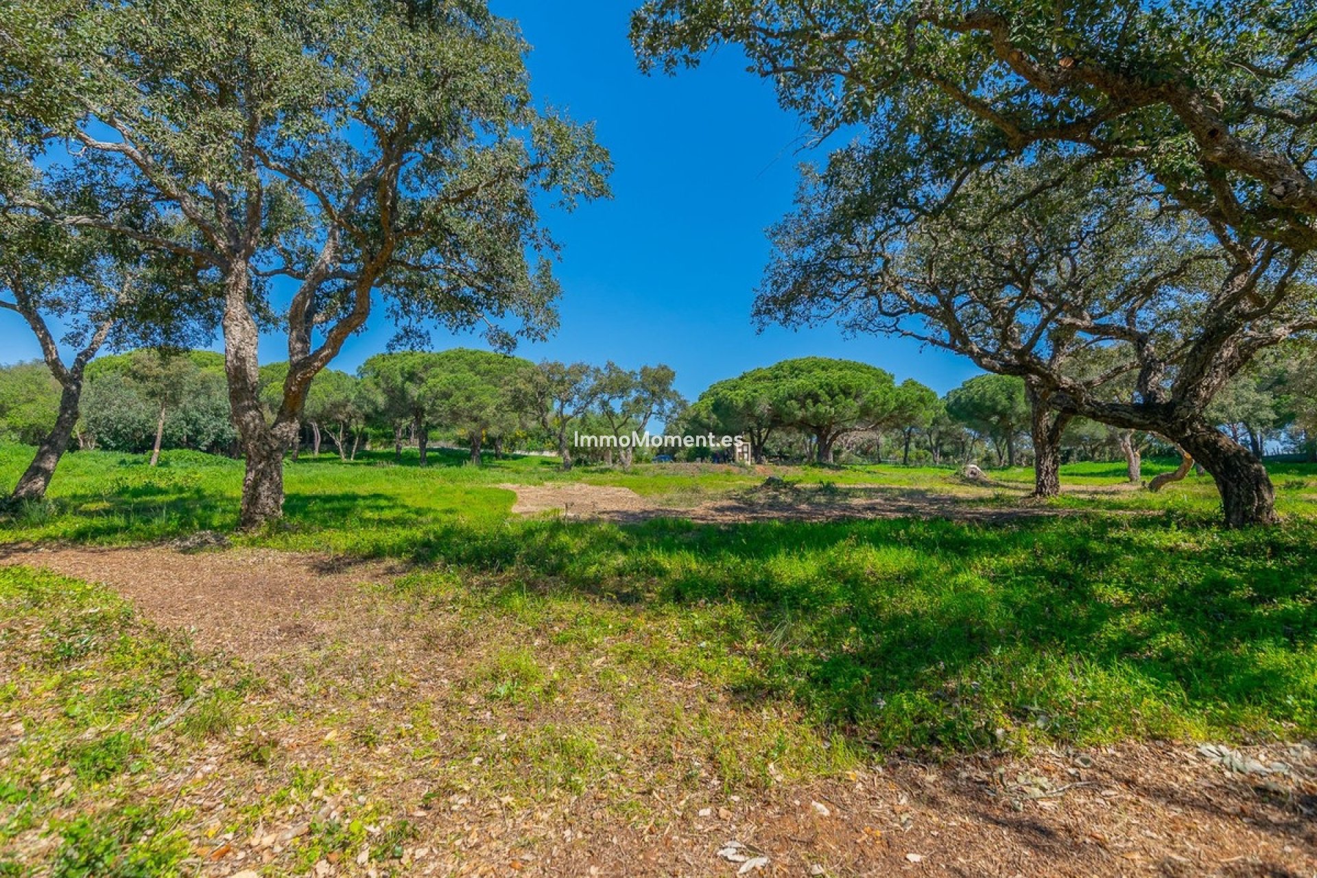 Nieuwbouw - Perceel - Sotogrande - Sotogrande Alto