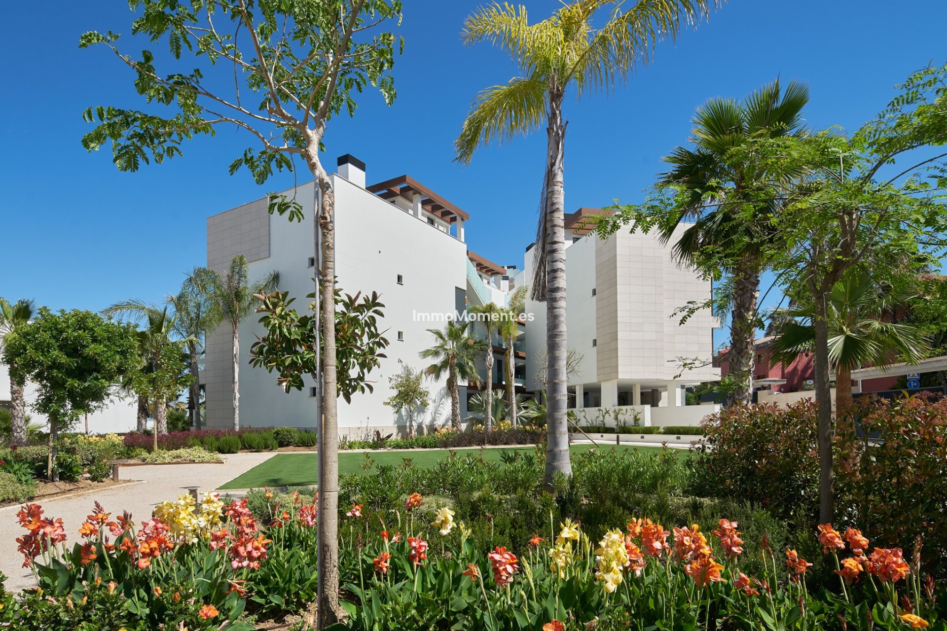 Obra nueva - Apartamento - Estepona  - Estepona