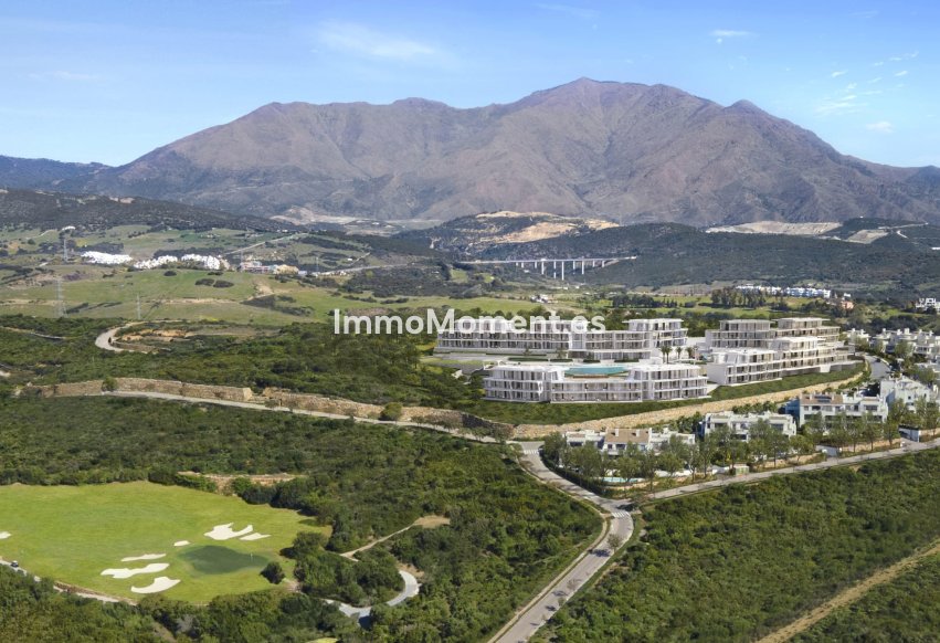 Obra nueva - Apartamento - Estepona  - Estepona