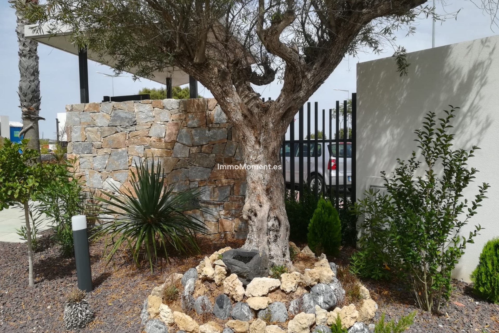 Obra nueva - Low-bungalow - Torrevieja
