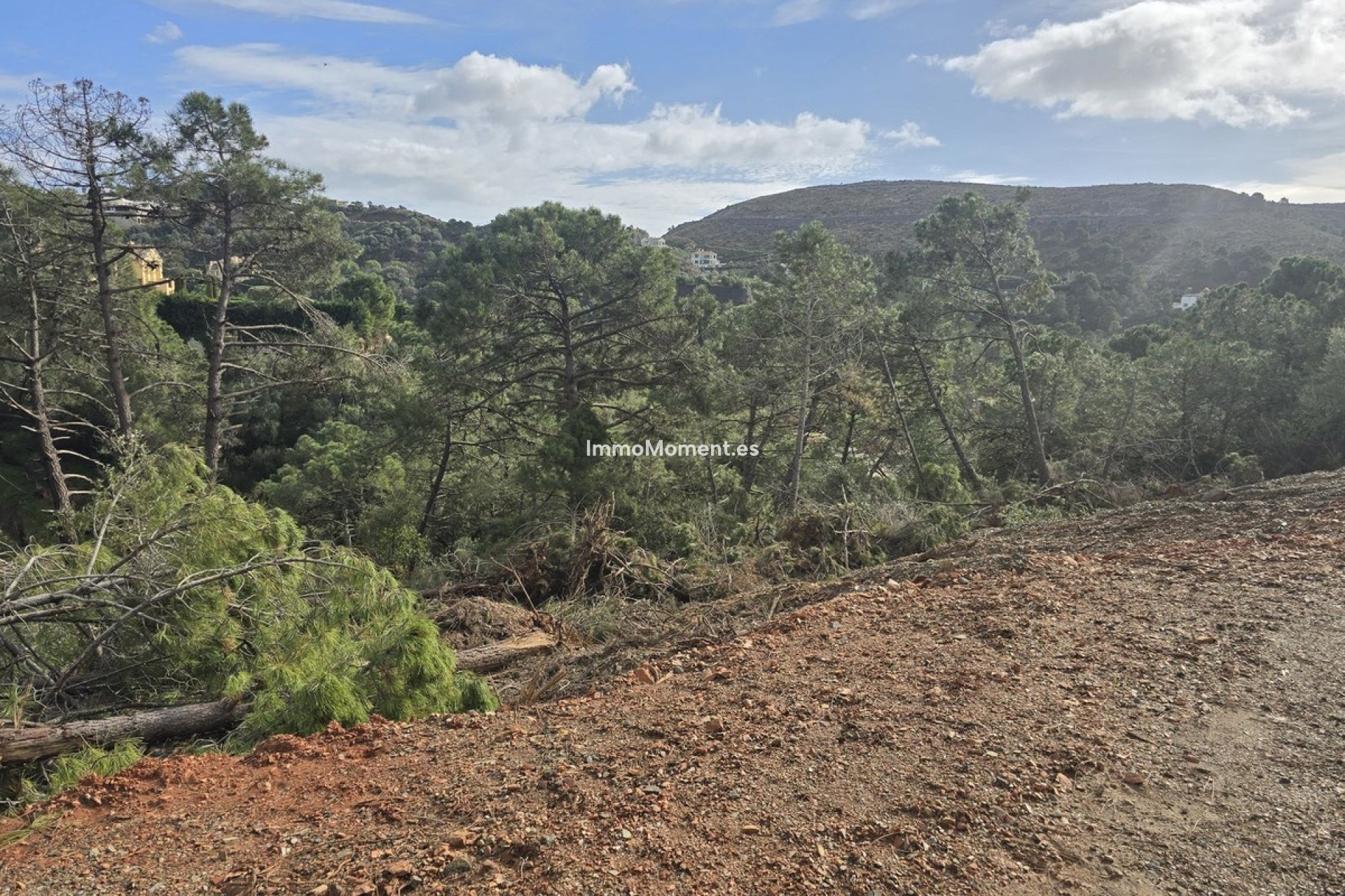 Obra nueva - Parcela - Benahavís - Benahavís Centro