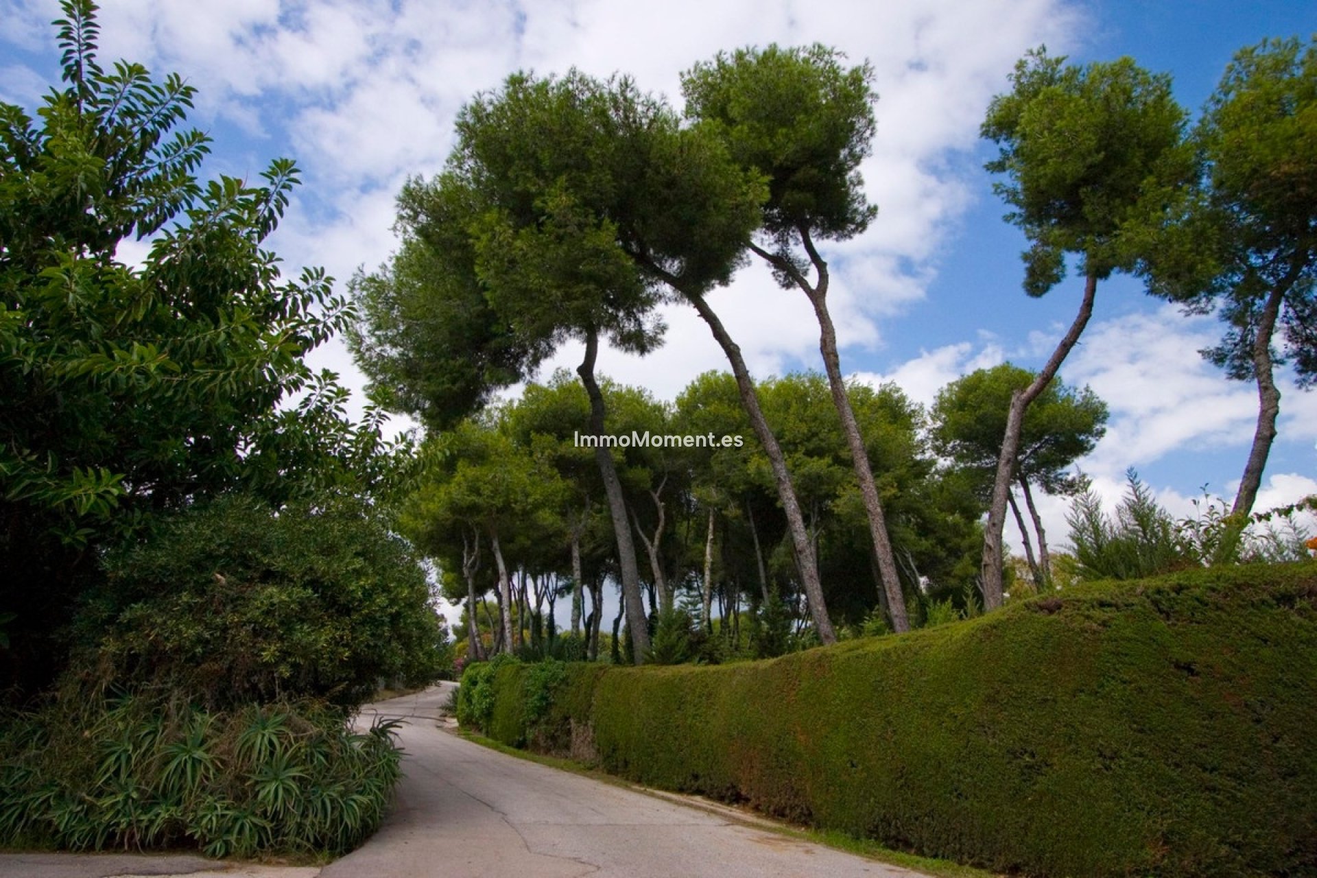 Obra nueva - Parcela - Marbella - La Mairena