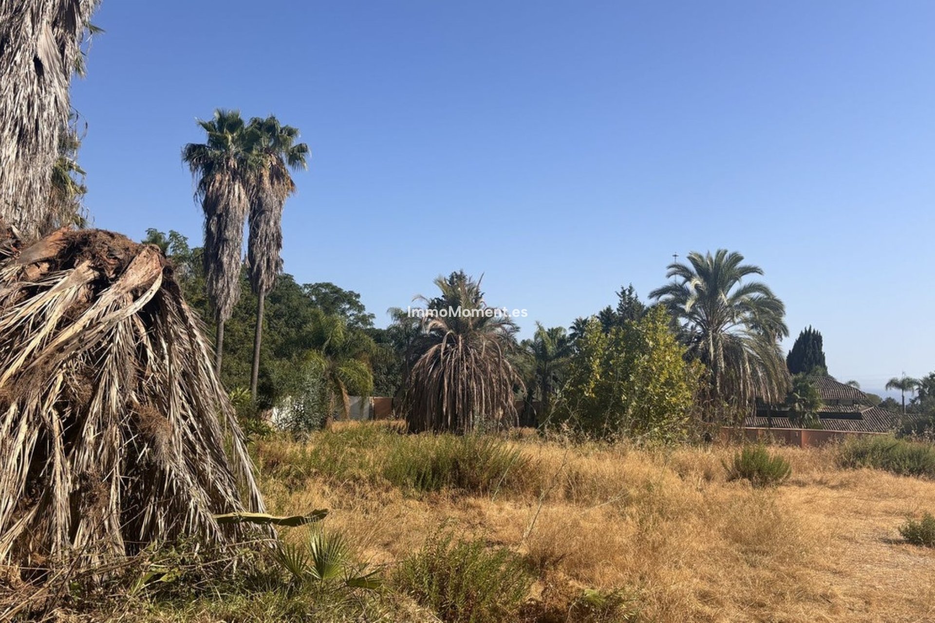 Obra nueva - Parcela - Marbella - Nagüeles