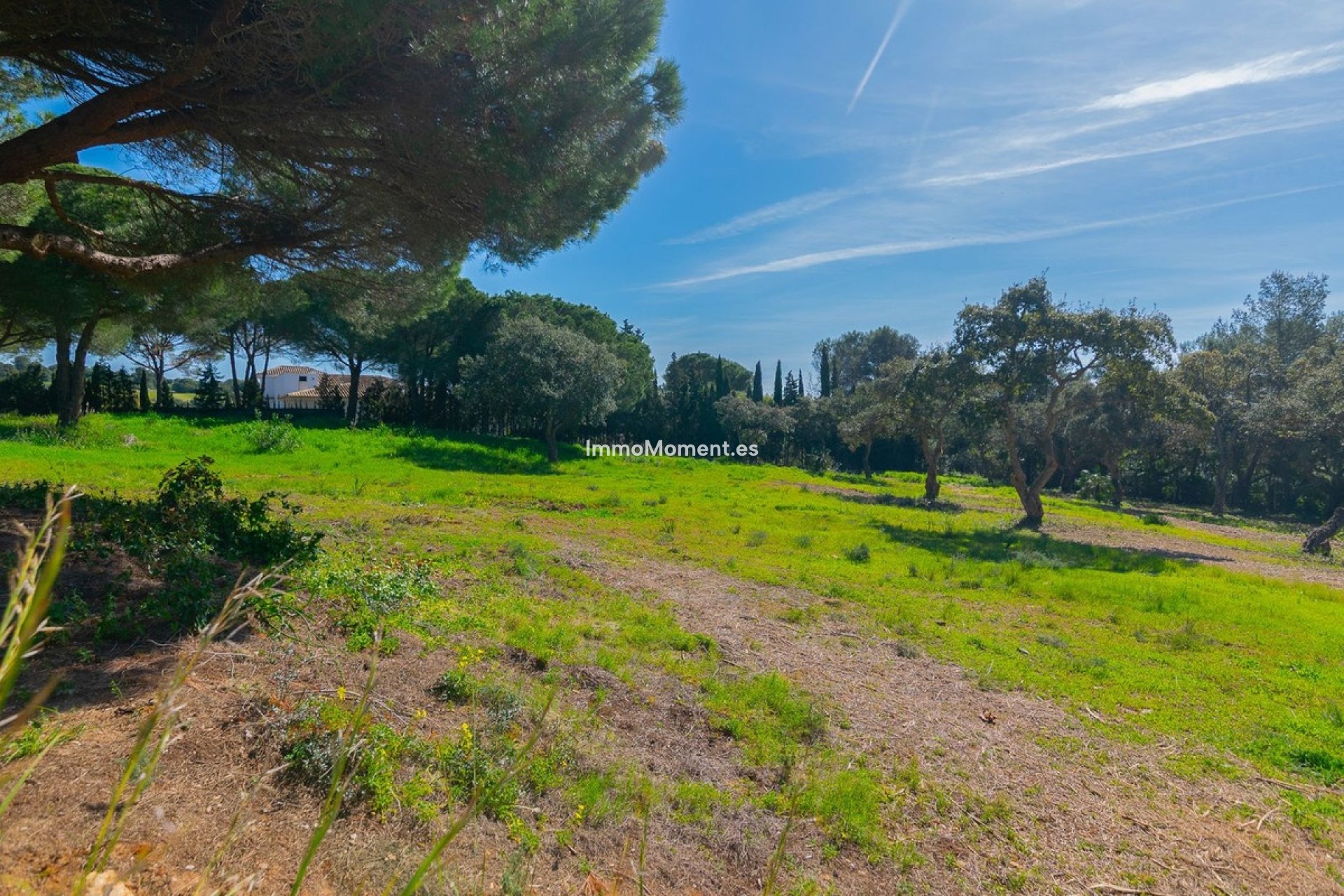 Obra nueva - Parcela - Sotogrande - Sotogrande Alto