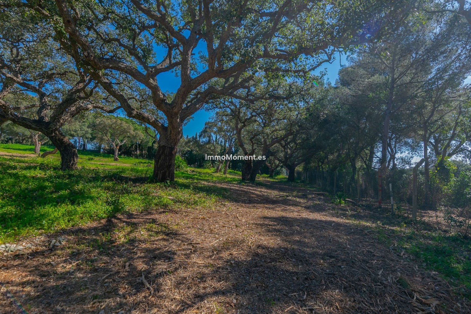 Obra nueva - Parcela - Sotogrande - Sotogrande Alto
