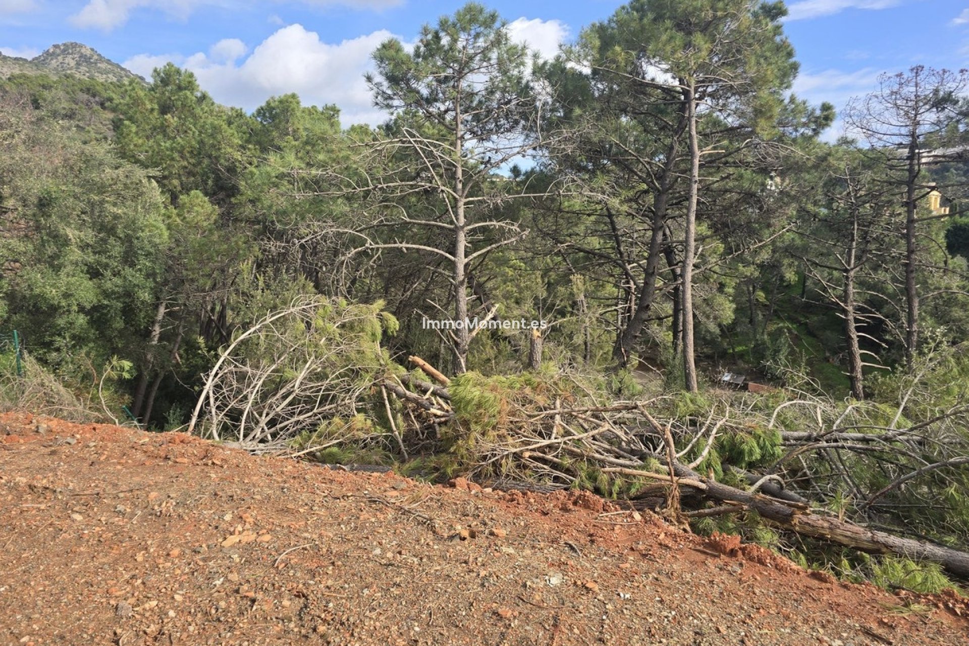Obra nueva - Terreno - Benahavís - Benahavís Centro