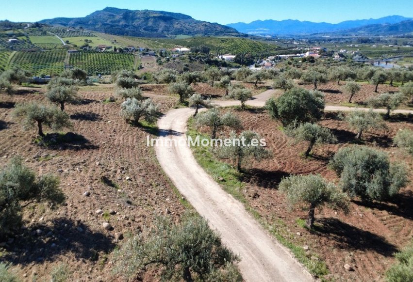 Obra nueva - Terreno - Interior  - Alora