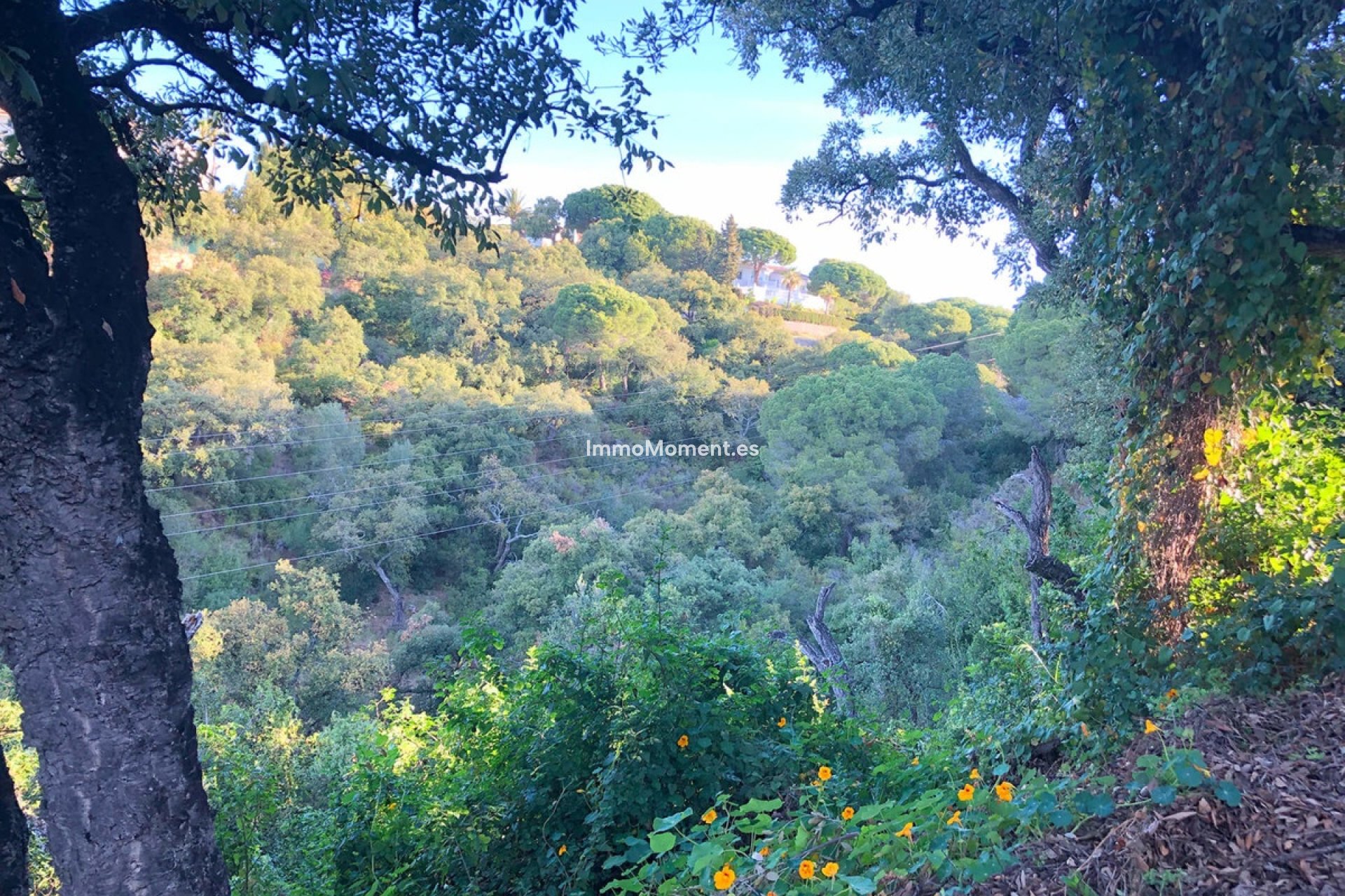 Obra nueva - Terreno - Marbella - Elviria