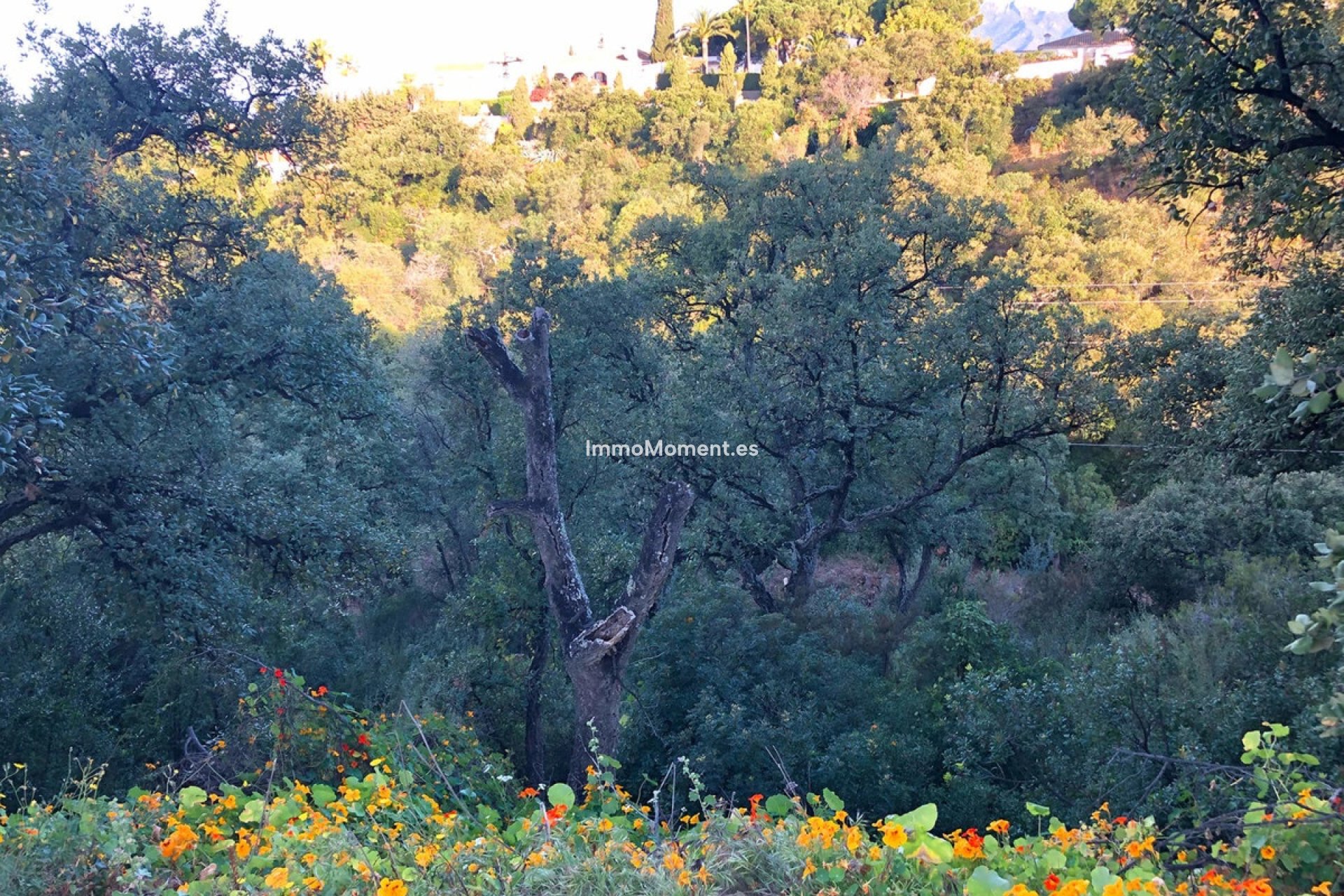 Obra nueva - Terreno - Marbella - Elviria