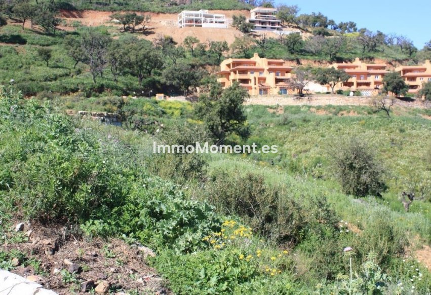Obra nueva - Terreno - Marbella - La Mairena