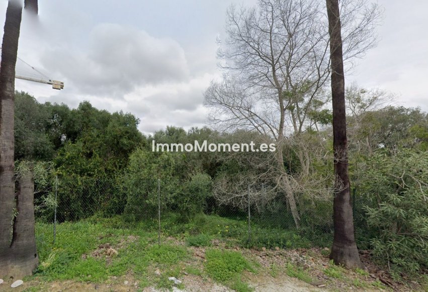 Obra nueva - Terreno - Sotogrande - Sotogrande Alto