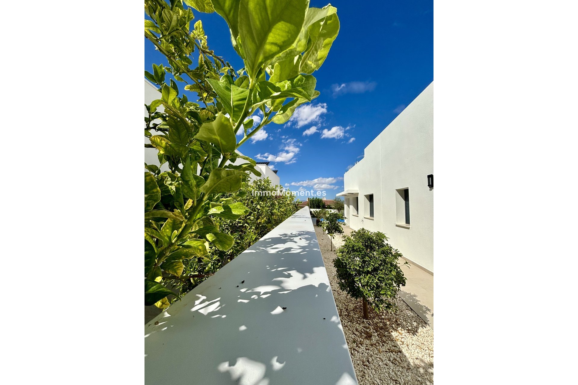Obra nueva - Villa independiente - Benijofar