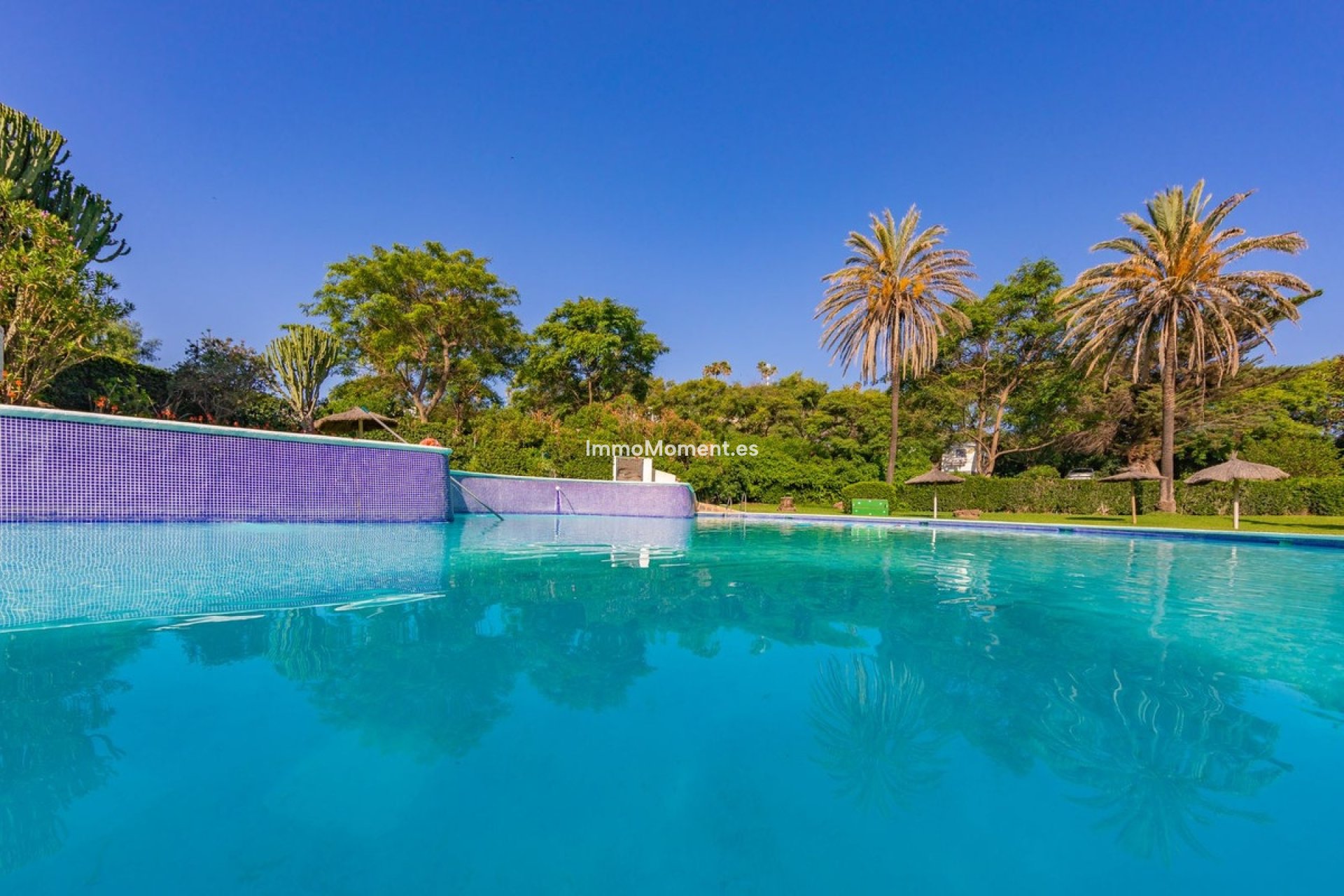 Obra nueva - Villa independiente - Estepona  - Estepona Centro