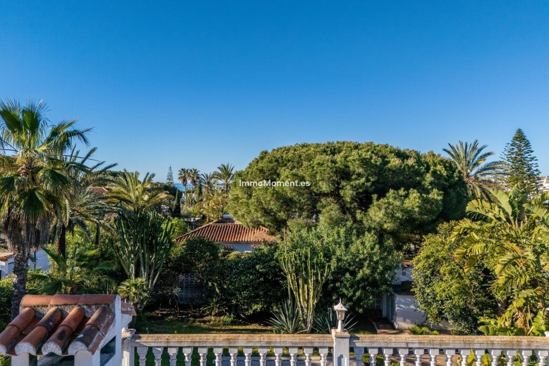 Obra nueva - Villa independiente - Marbella - Marbesa