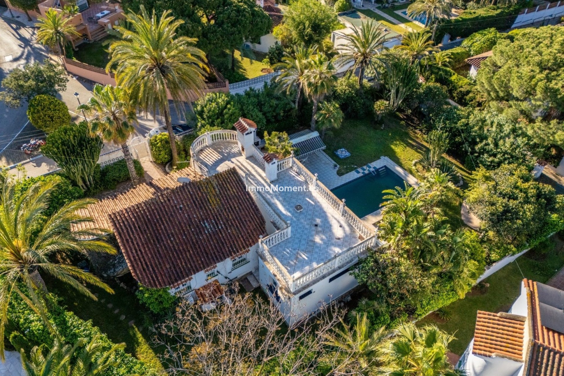 Obra nueva - Villa independiente - Marbella - Marbesa
