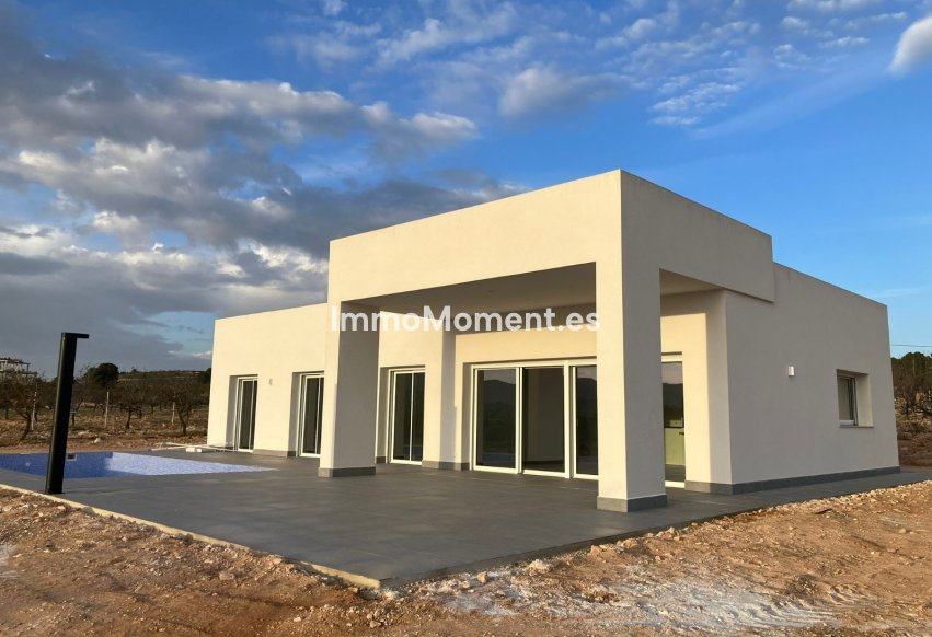 Obra nueva - Villa independiente - Pinoso