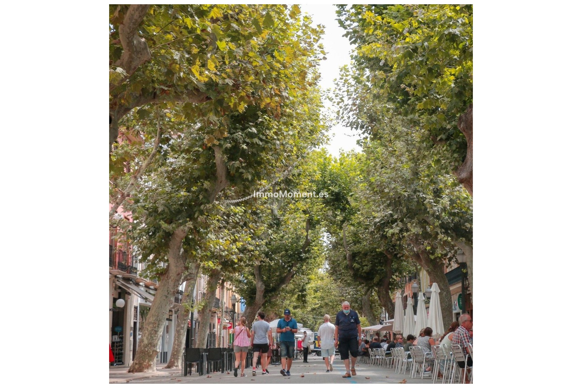 Obra nueva - Villa - Vergel - Vergel (El Vergel) - El Verger Centro