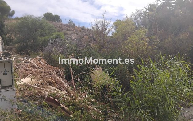 Parcela - Reventa - Algorfa - Algorfa Centro