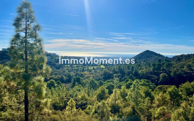 Parcela - Reventa - Benahavís - Benahavís Centro