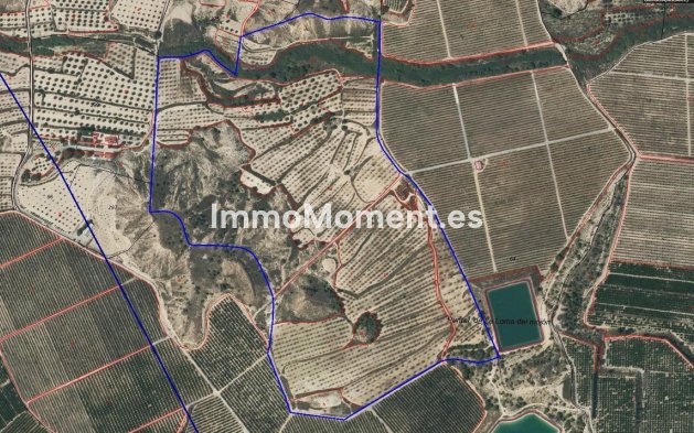 Parcela - Reventa - Orihuela - RSO-57334