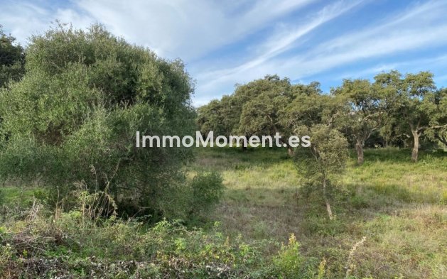 Parcela - Reventa - Sotogrande - San Roque Club
