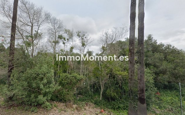 Parcelle - Construction neuve - Sotogrande - Sotogrande Alto