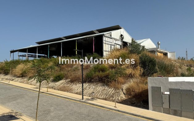 Parcelle - Revente - Estepona  - Cancelada