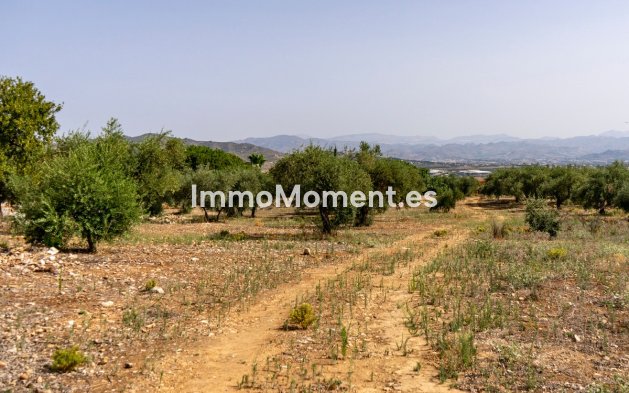 Parcelle - Revente - Intérieur                       - Alhaurín de la Torre