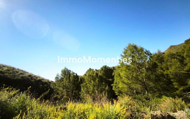 Parcelle - Revente - Lorca - Lorca Centro