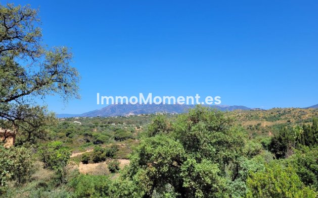 Parcelle - Revente - Marbella - Elviria