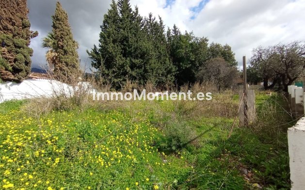 Parcelle - Revente - Marbella - RSO-19400