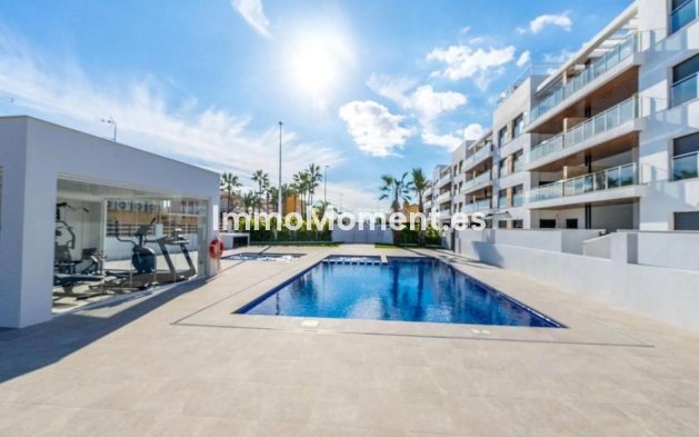 Penthouse - Neubau - Torrevieja - Torrevieja