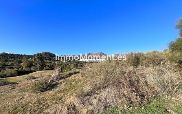 Perceel - Bestaande woning - Estepona  - Estepona Centro