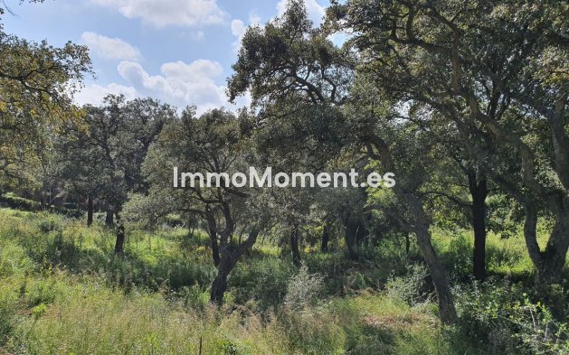 Perceel - Bestaande woning - Sotogrande - Sotogrande Alto
