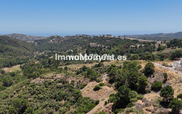 Plot - New Build - Benahavís - Benahavís Centro