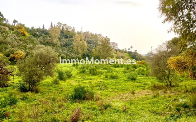 Plot - Resale - Benahavís - Benahavís Centro